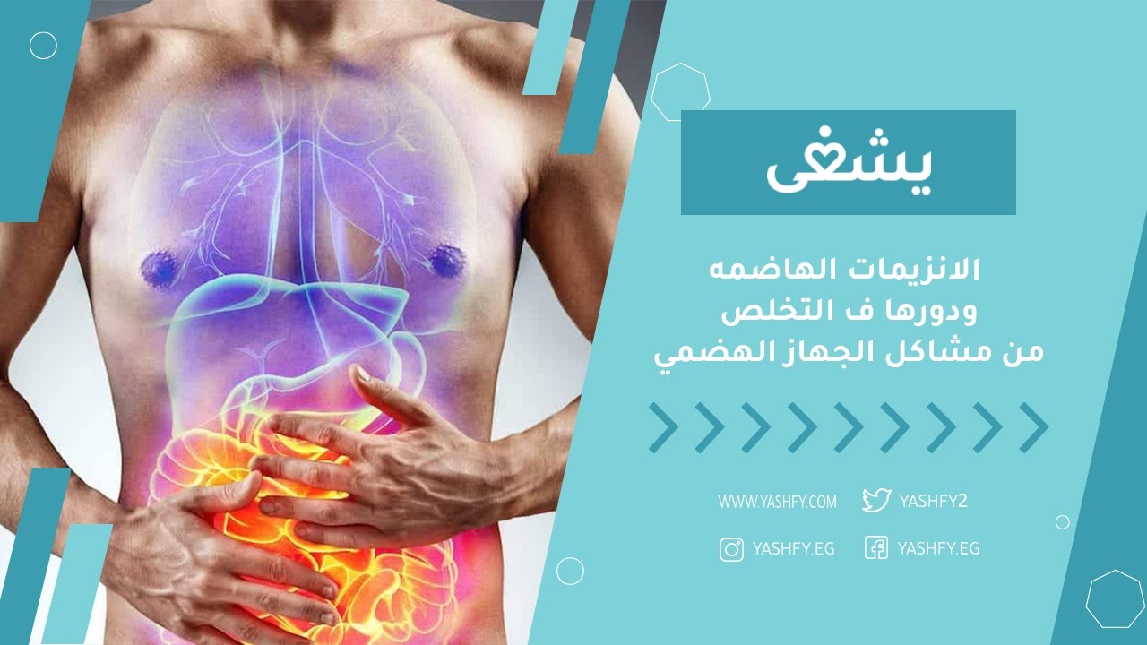 الانزيمات الهاضمه ودورها ف التخلص من مشاكل الجهاز الهضمي