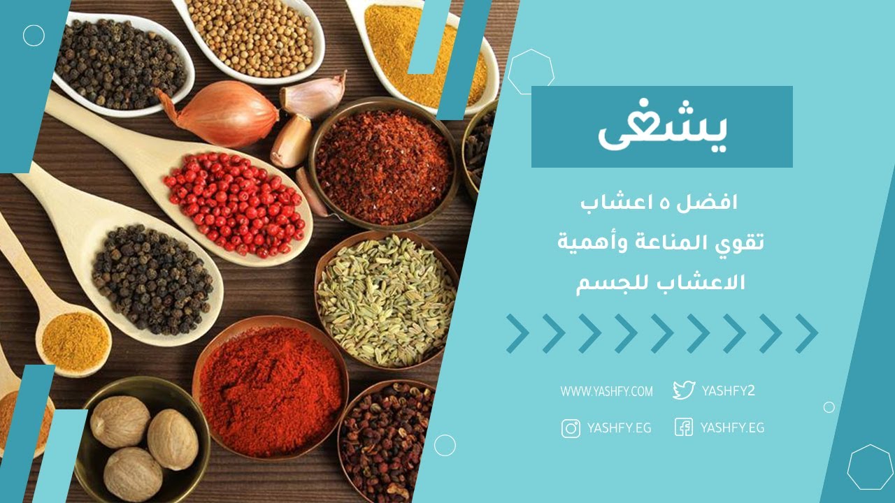 افضل 5 اعشاب تقوي المناعة وأهمية الاعشاب للجسم