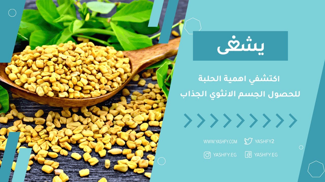 اكتشفي اهمية الحلبة للحصول الجسم الانثوي الجذاب