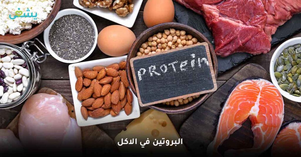 البروتين في الاكل
