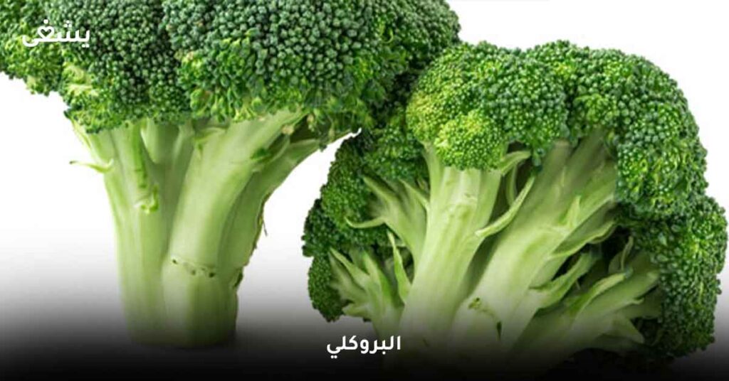 البروكلي