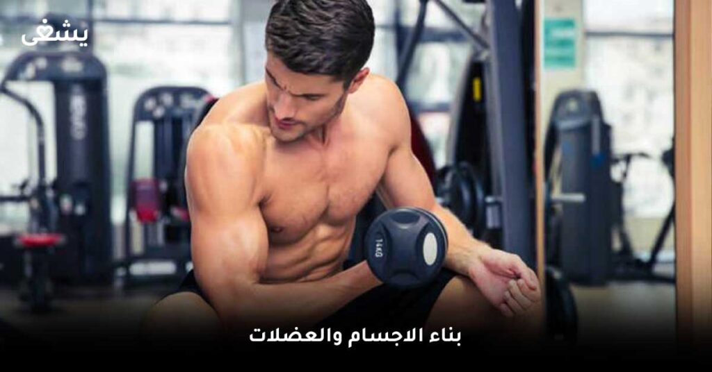 بناء-الاجسام-والعضلات