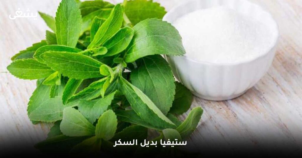 ستيفيا-بديل-السكر