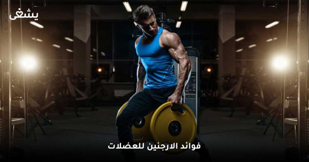 فوائد-الارجنين-للعضلات