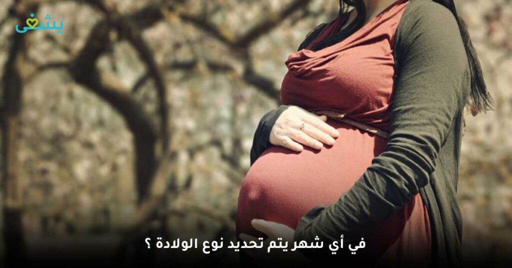 في-أي-شهر-يتم-تحديد-نوع-الولادة-؟