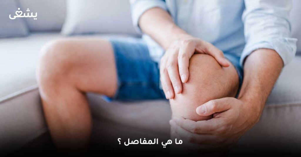 ما-هي-المفاصل-؟