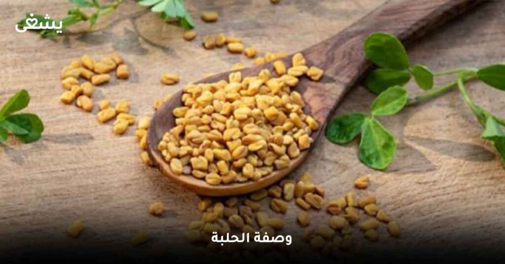 وصفة-الحلبة