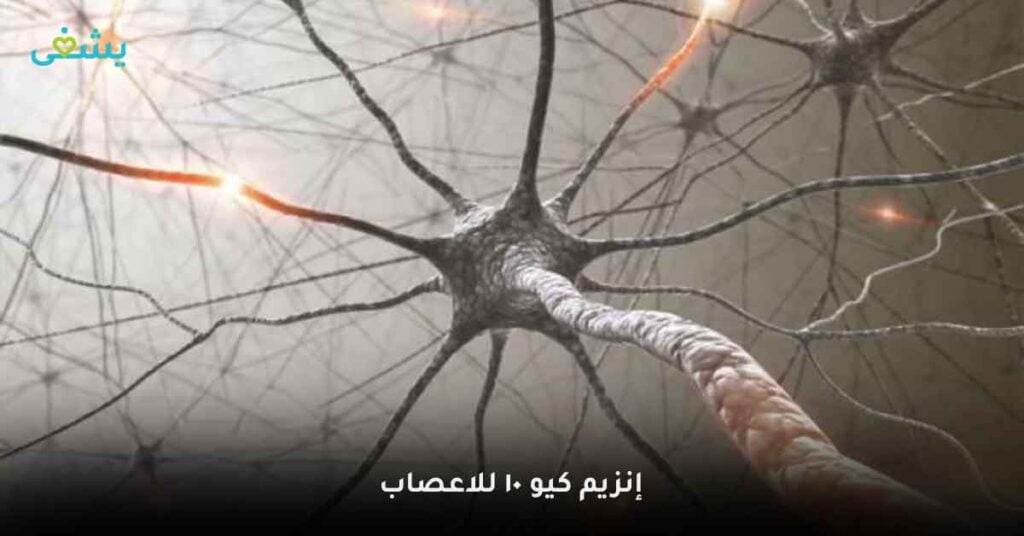 إنزيم-q10-للاعصاب