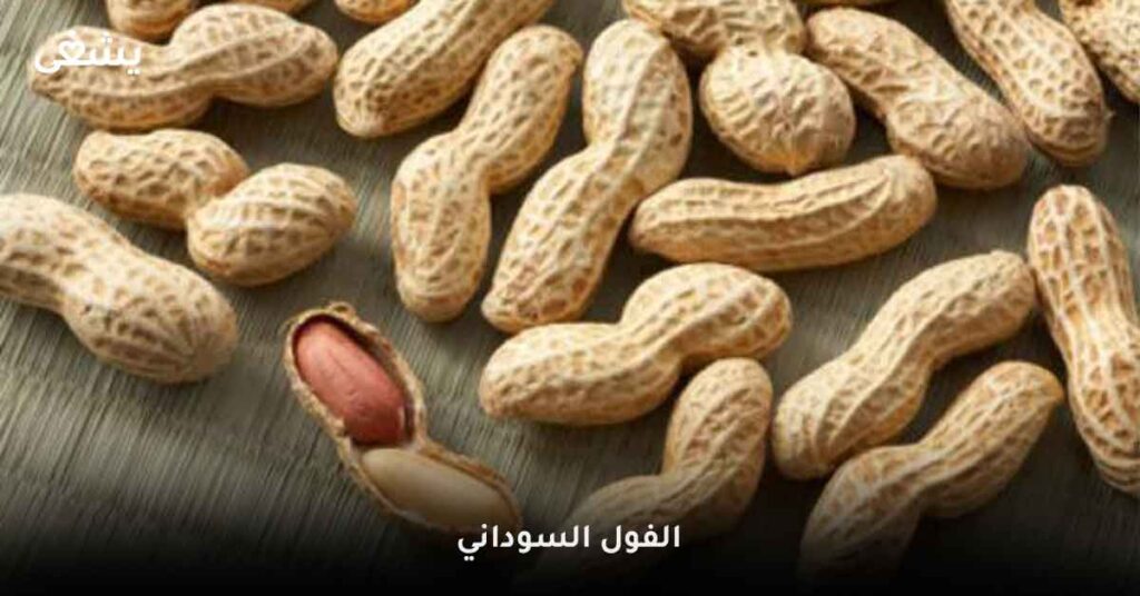 الفول-السوداني