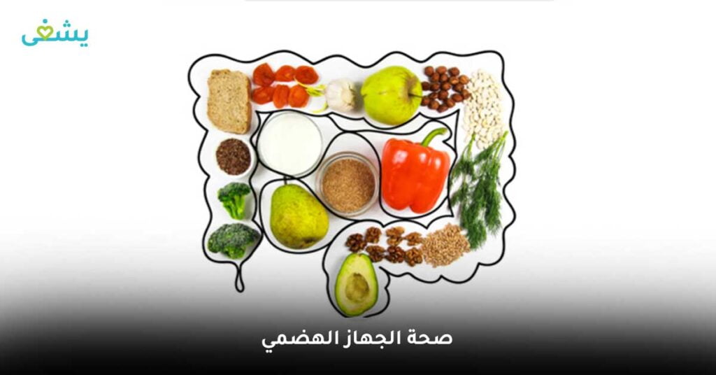 صحة-الجهاز-الهضمي