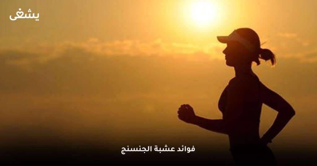 فوائد-عشبة-الجنسنج