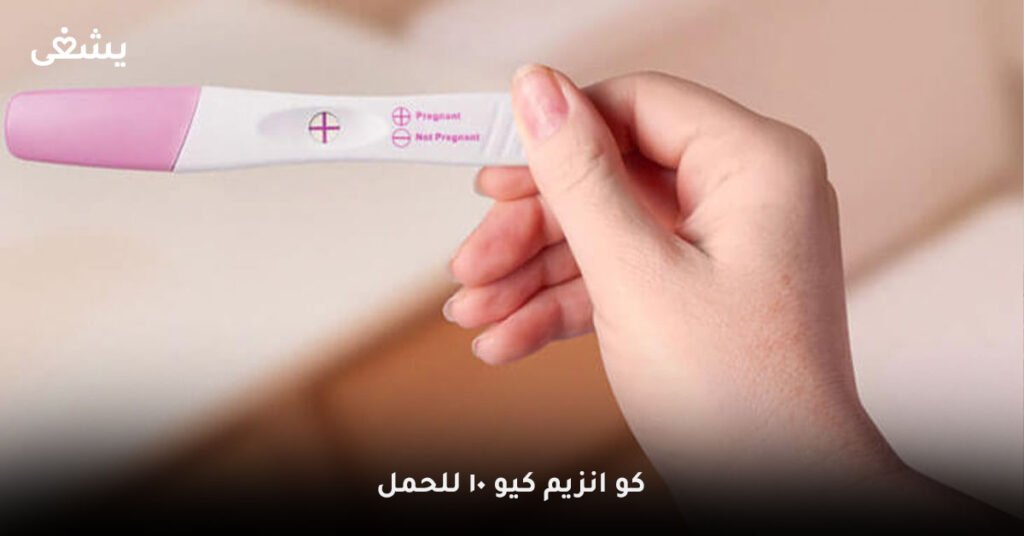 كو-انزيم-كيو-10-للحمل