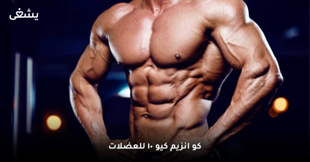 كو-انزيم-كيو-10-للعضلات