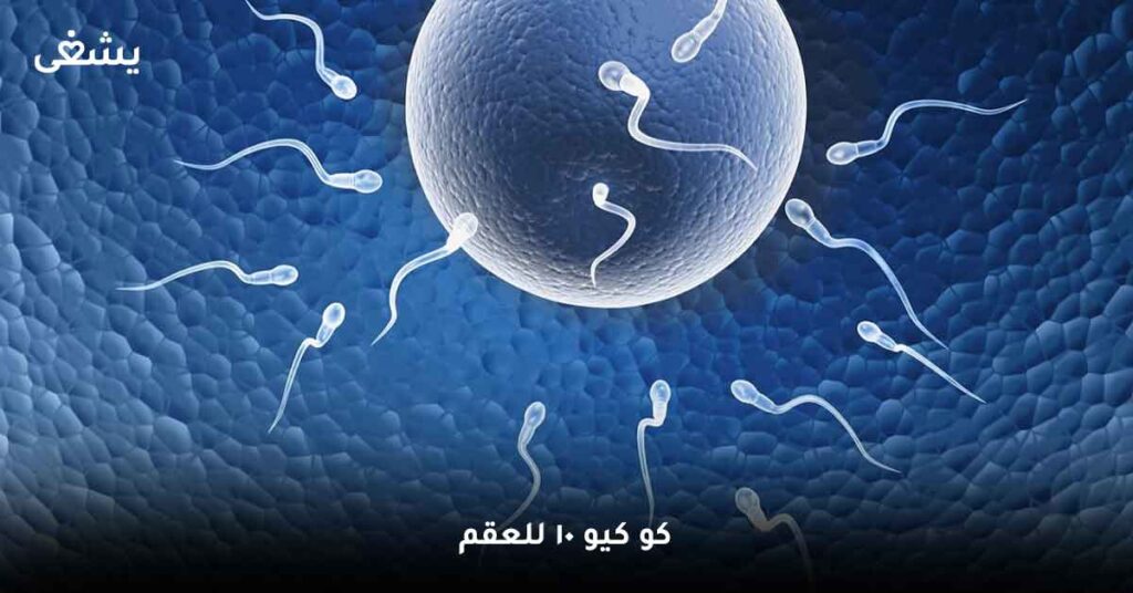 كو-كيو-10-للعقم