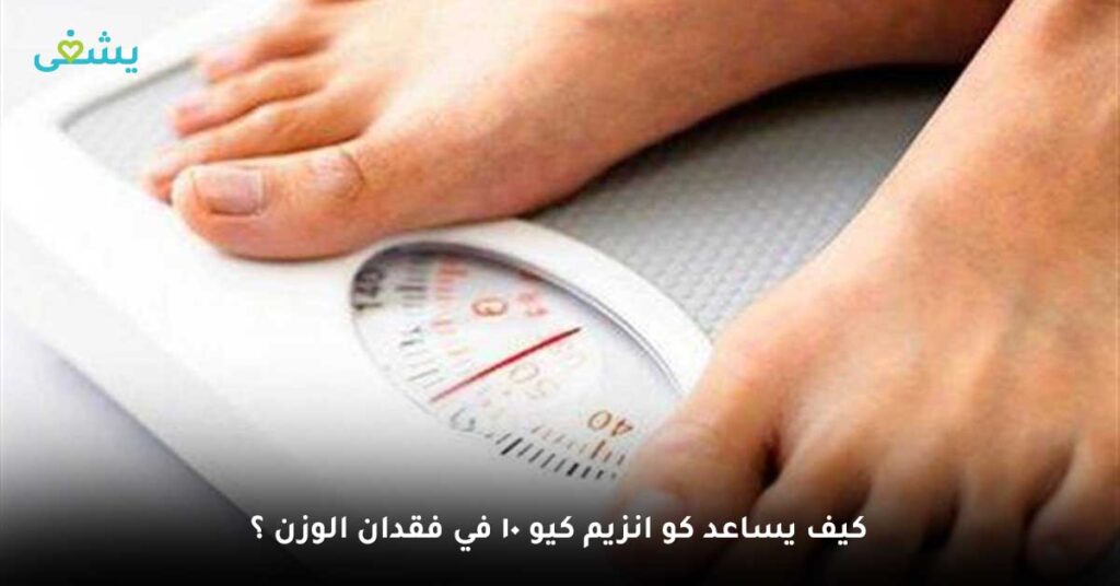 كيف-يساعد-كو-انزيم-كيو-10-في-فقدان-الوزن-؟