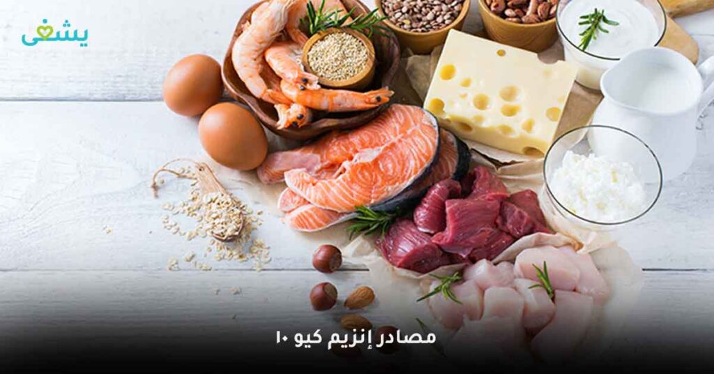 مصادر-إنزيم-كيو-10