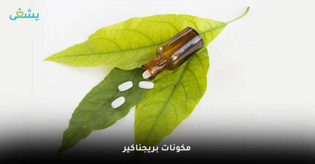 مكونات-بريجناكير
