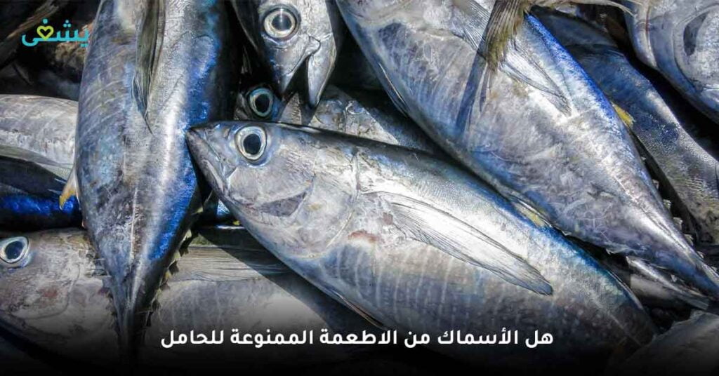 هل الأسماك من الاطعمة الممنوعة للحامل