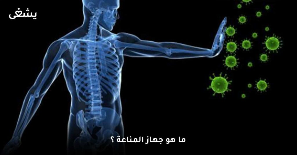 ما-هو-جهاز-المناعة-؟