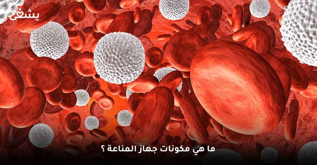 ما-هي-مكونات-جهاز-المناعة-؟