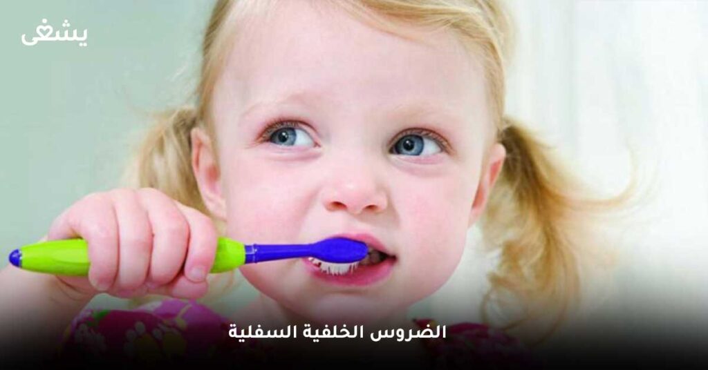 الضروس الخلفية السفلية