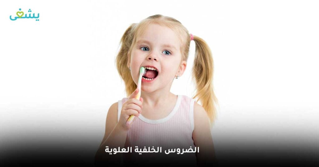 الضروس الخلفية العلوية