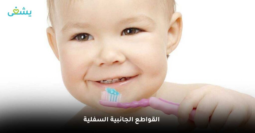 القواطع الجانبية السفلية