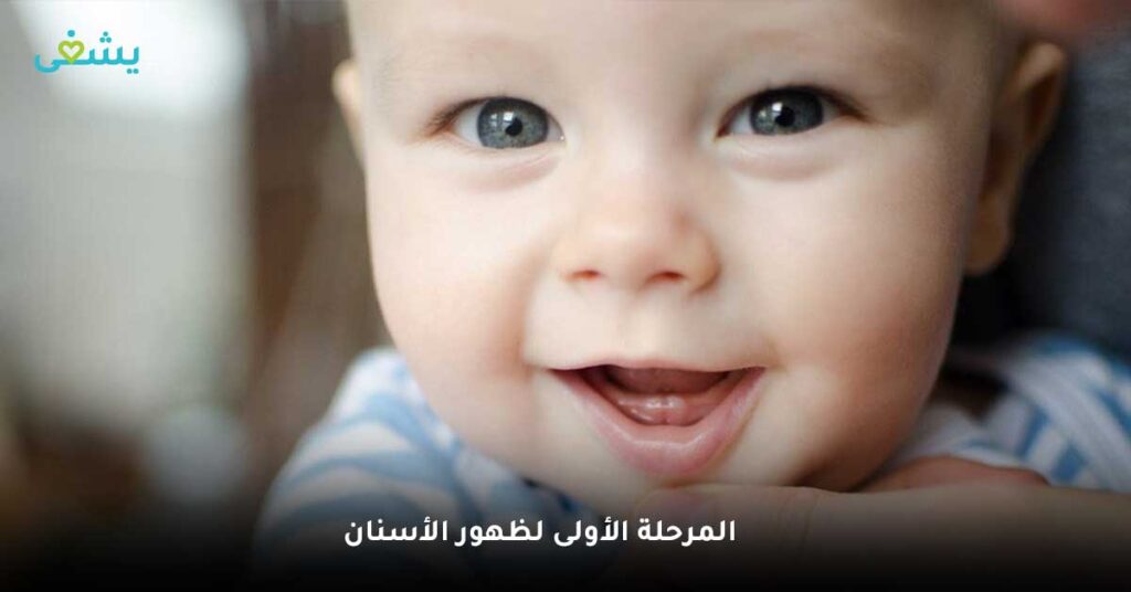 المرحلة الأولى لظهور الأسنان
