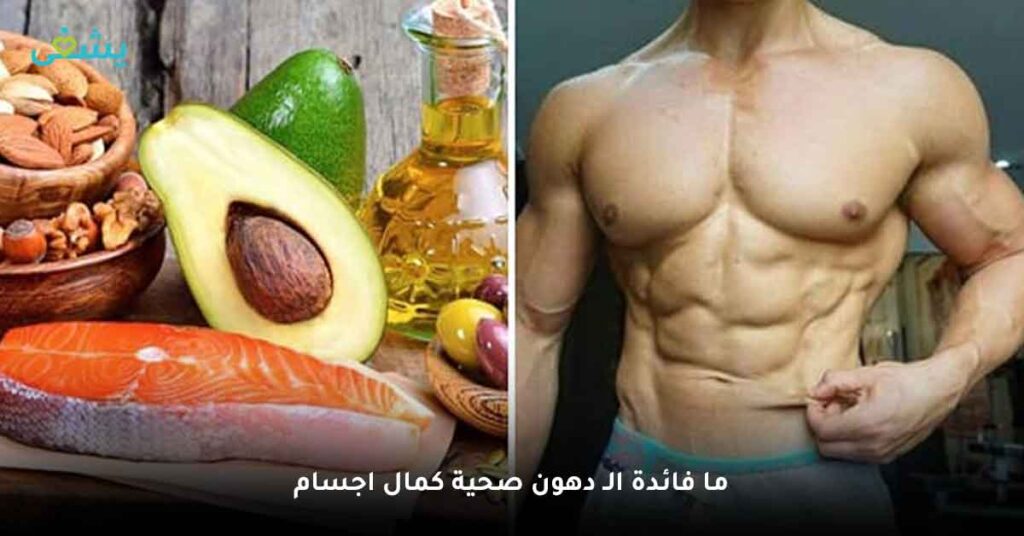 ما فائدة الـ دهون صحية كمال اجسام