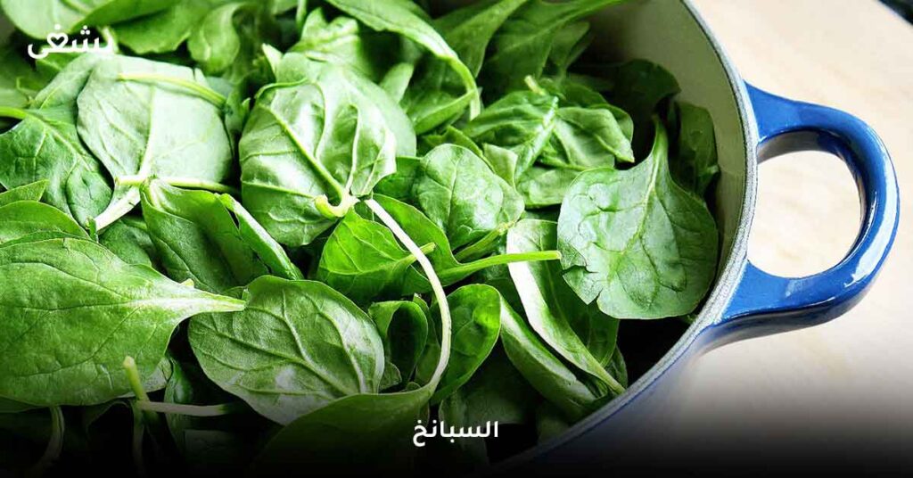 السبانخ من الخضروات المسموح بها في الرجيم