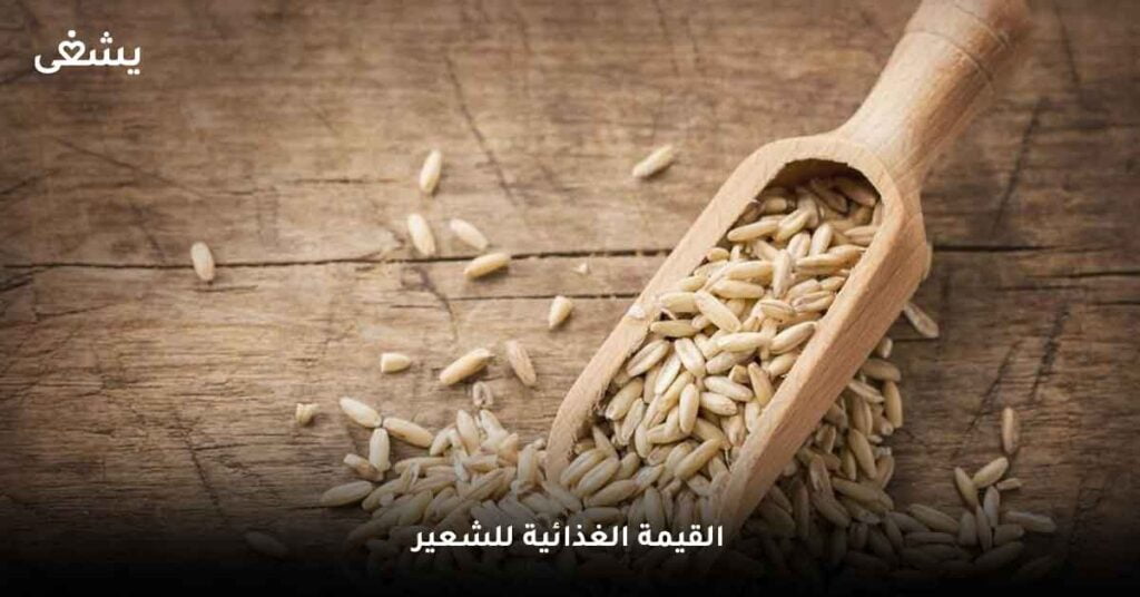 القيمة الغذائية للشعير