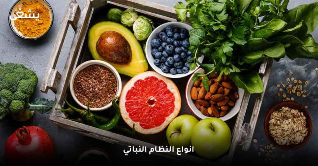 انواع النظام النباتي