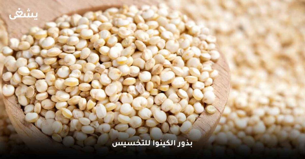 بذور الكينوا للتخسيس