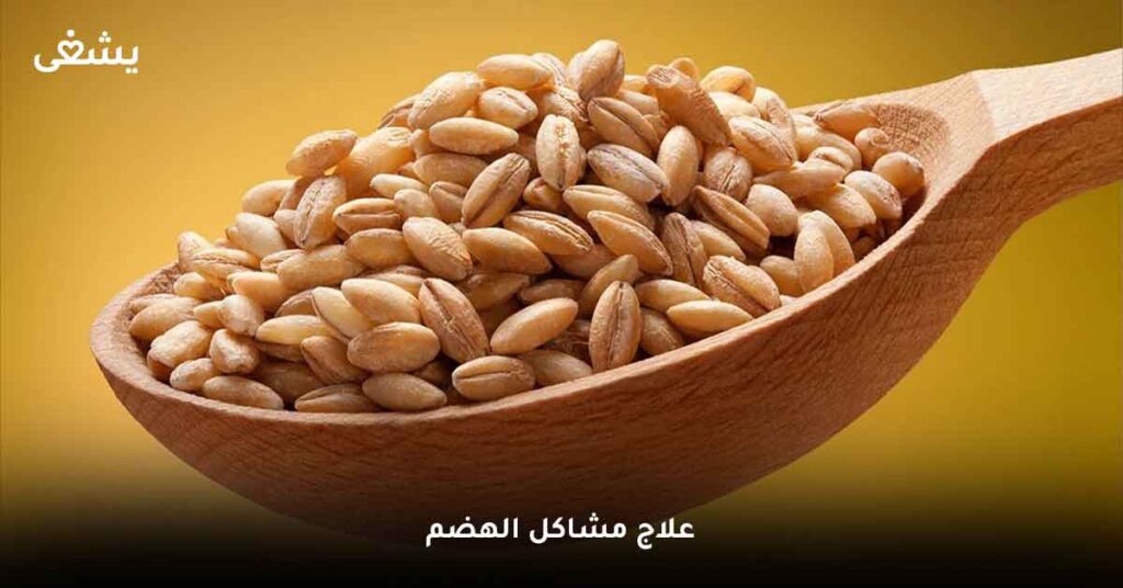 علاج مشاكل الهضم