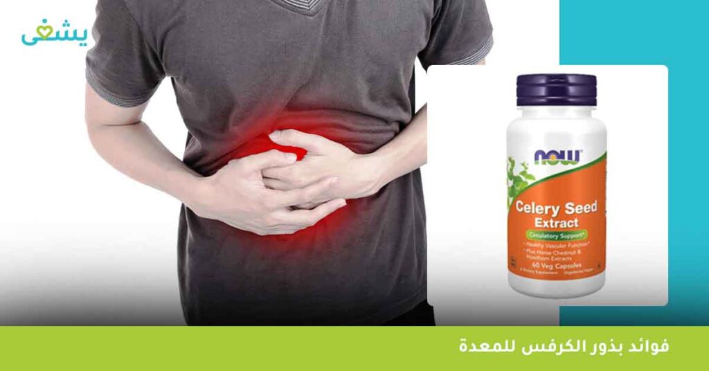 فوائد بذور الكرفس للمعدة