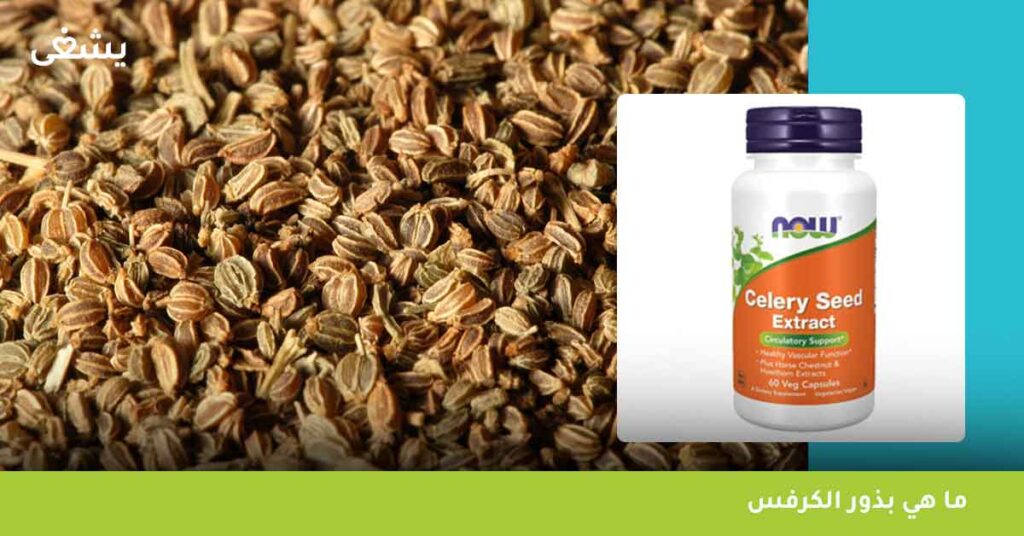 ما هي بذور الكرفس