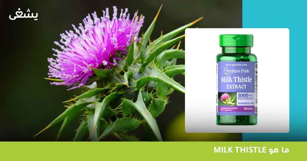 ما هو milk thistle