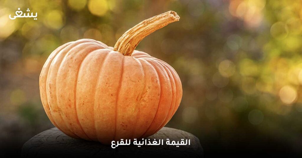 القيمة الغذائية للقرع