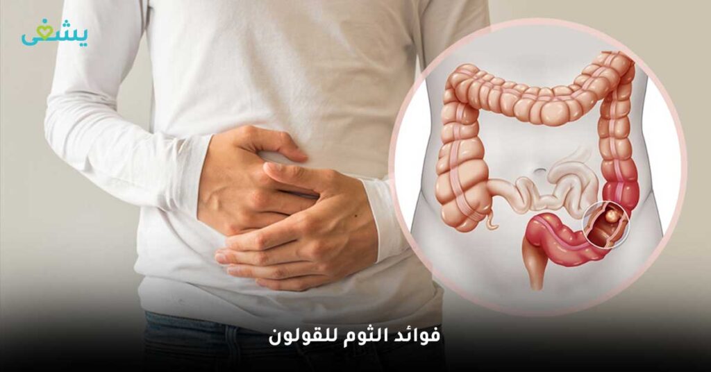 فوائد الثوم للقولون