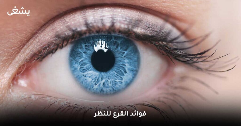 فوائد القرع للنظر