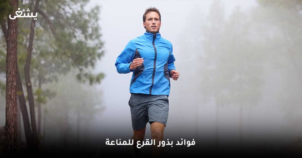 فوائد بذور القرع للمناعة