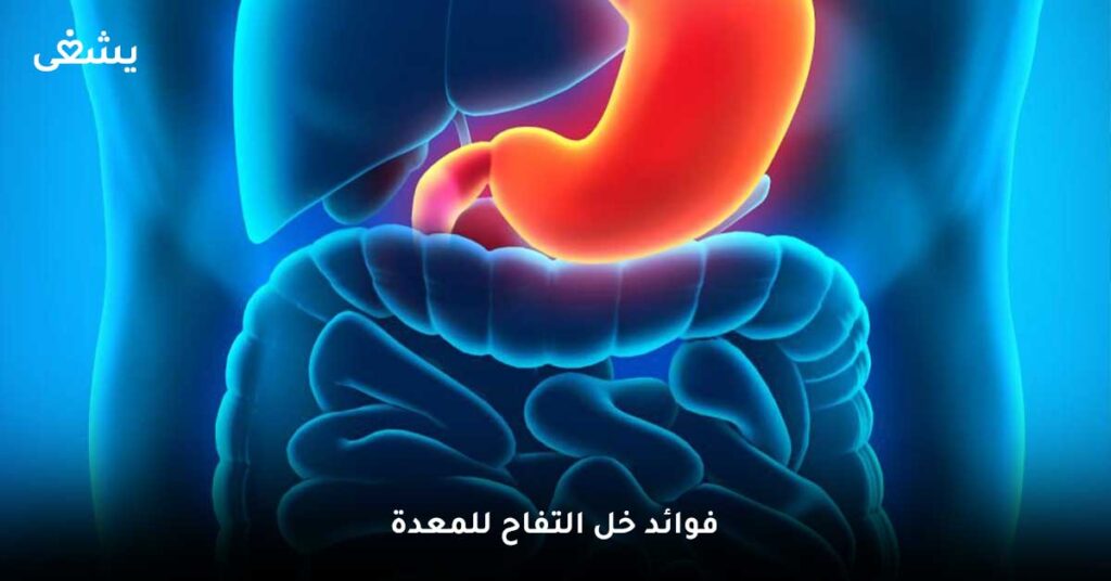 فوائد خل التفاح للمعدة