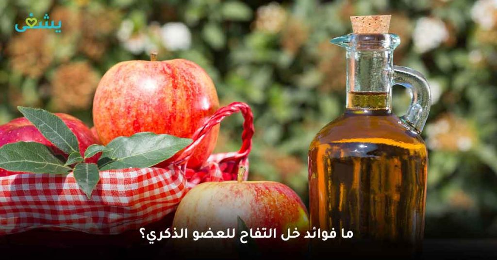 ما فوائد خل التفاح للعضو الذكري؟