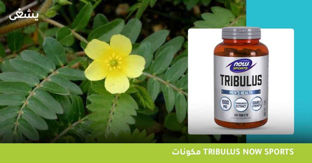 ما هي مكونات tribulus now sports