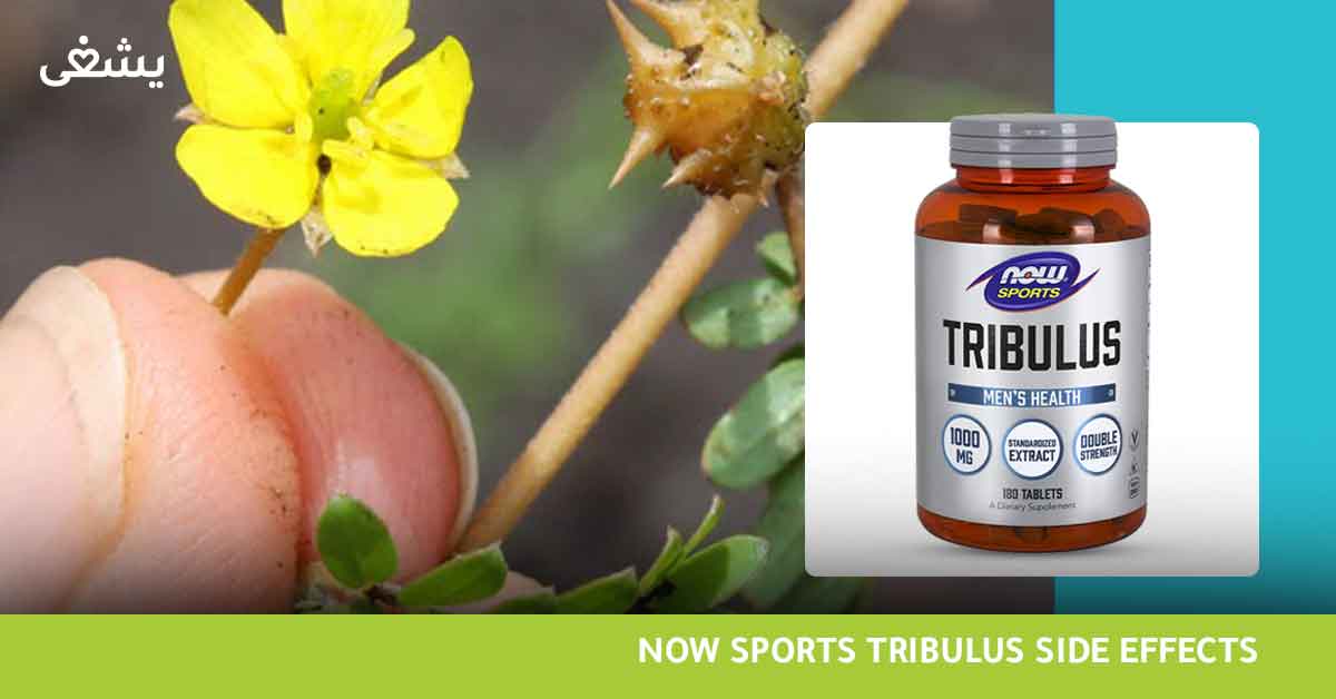 تعرف علي فوائد Tribulus Now Sports لتحسين أداء الرجال الجنسي