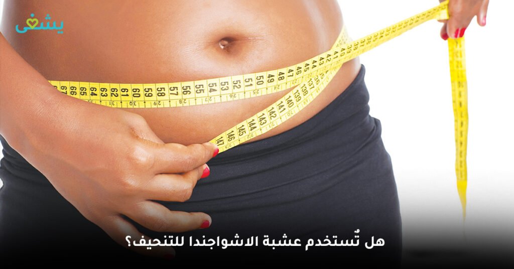 هل تٌستخدم عشبة الاشواجندا للتنحيف؟
