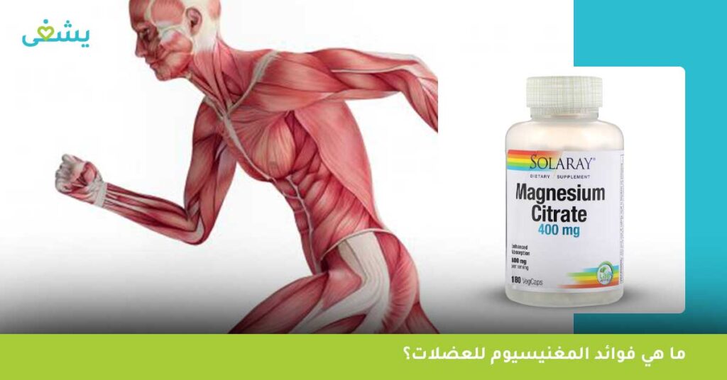 ما هي فوائد المغنيسيوم للعضلات؟