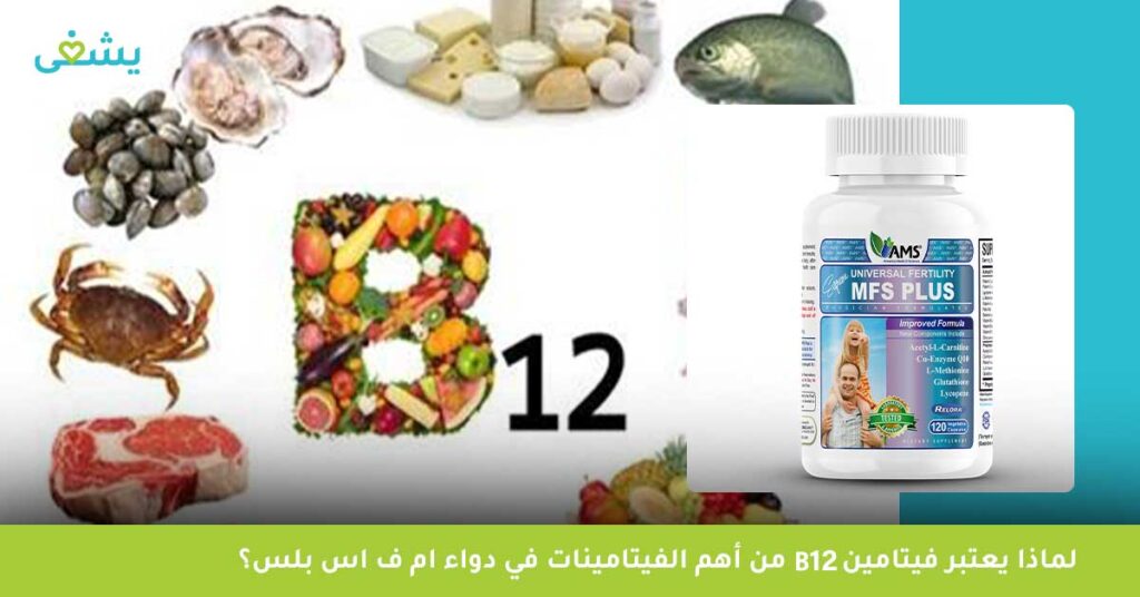 لماذا يعتبر فيتامين B12 من أهم الفيتامينات في دواء ام ف اس بلس؟