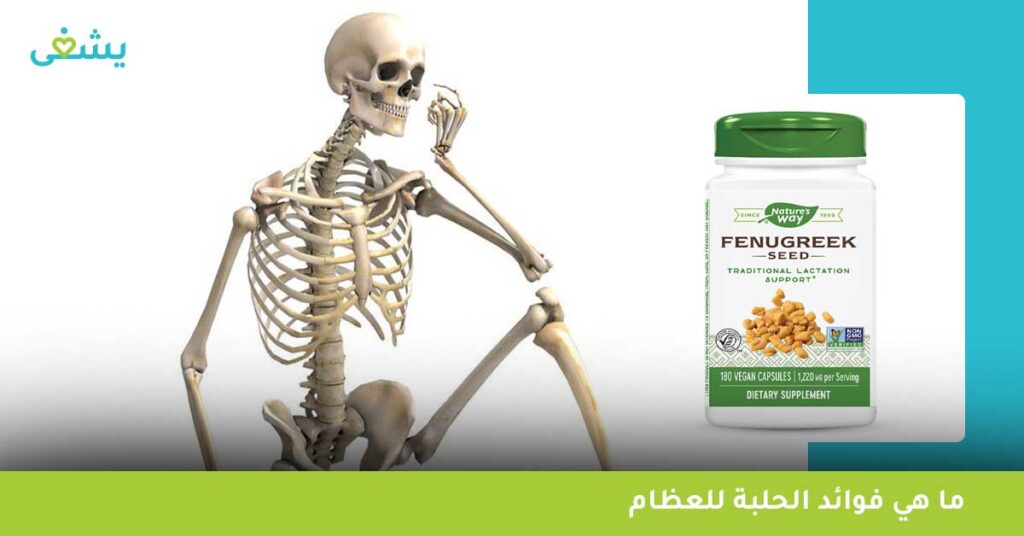 ما هي فوائد الحلبة للعظام؟