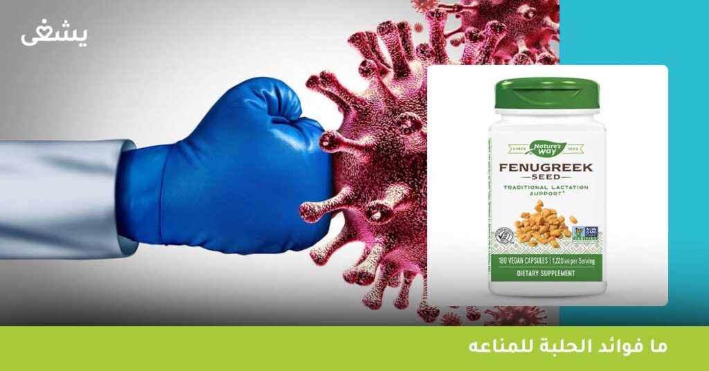 ما فوائد الحلبة للمناعه؟